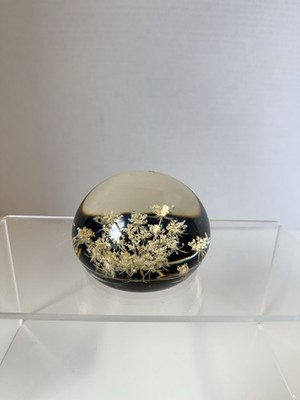 Tarax Infinity of Canada Lucite Paperweight Queen Anne's Lace Preserved Flowers