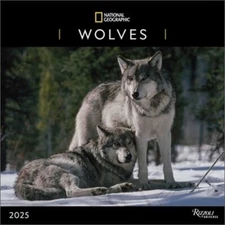 National Geographic: Wolves 2025 Wall Calendar (Calendar)