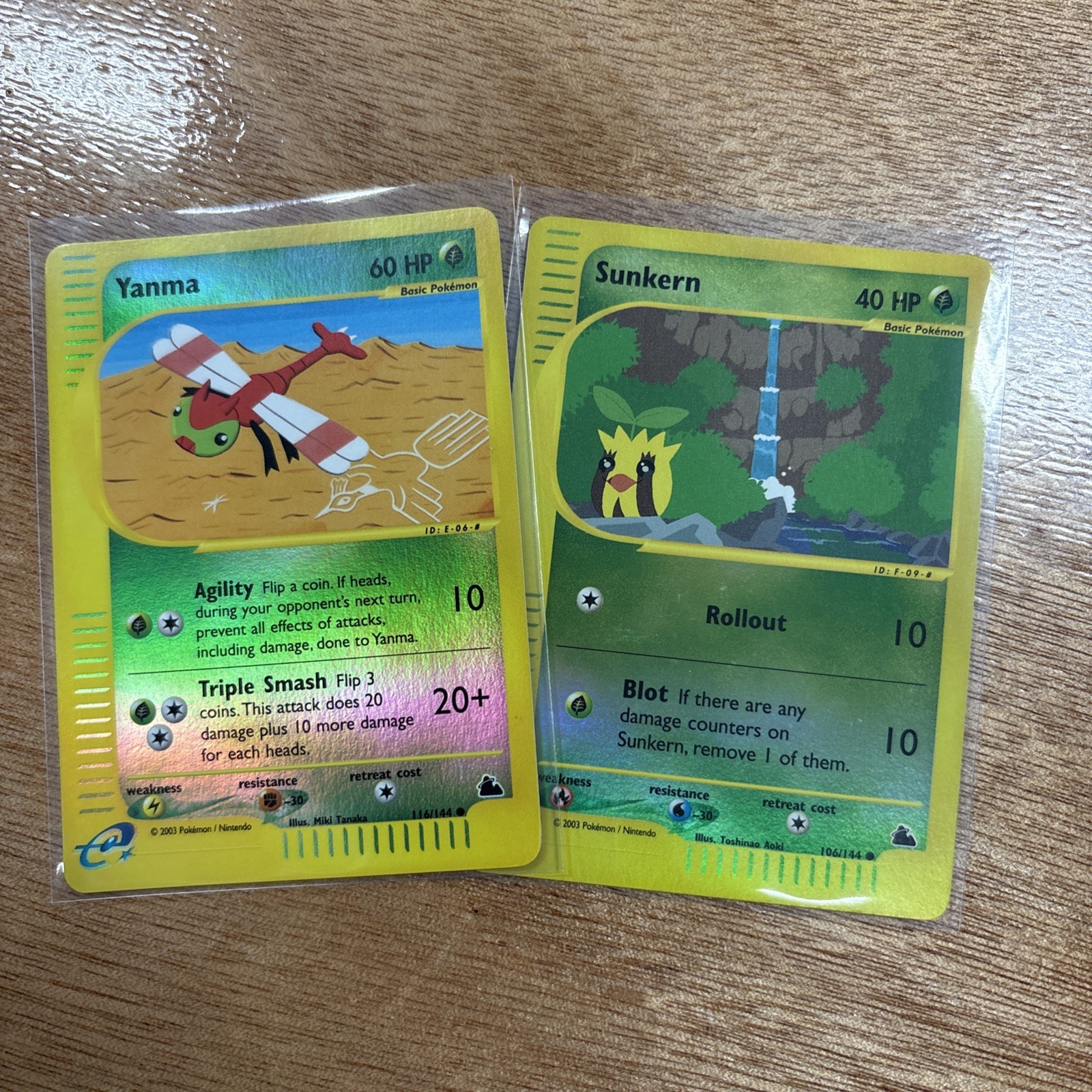 Pokemon Card Yanma 116/144 Skyridge Reverse Holo WOTC NM and Sunkern!