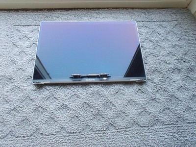 Apple Macbook Pro 15  A1990 Space Gray Screen Grade B+ Case B+