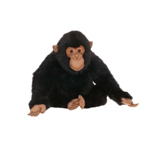 chimpanzee toy