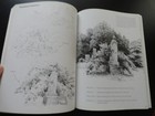 Picture 5 of 12