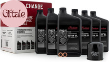 Indian Motorcycle Thunderstroke Oil Change Kit 20W 40 6 Quarts 2889311