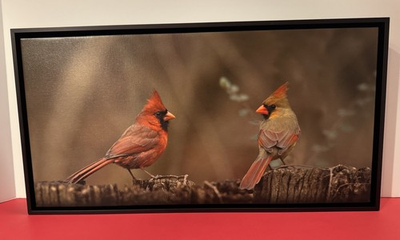 #ad #ad Northern Cardinals 2 Birds Photo on Canvas by Tim DePuydth Photography $32.99