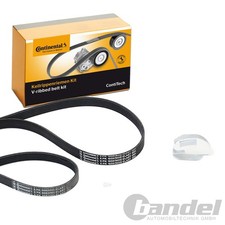 CONTINENTAL CTAM KEILRIPPENRIEMEN-SATZ passend für FORD C-MAX FOCUS GRAND VOLVO