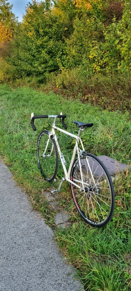 Gazelle Champion Mondial 53cm Retro Rennrad Shimano 600 Campagnolo Shimano 105 - Bild 2 von 4