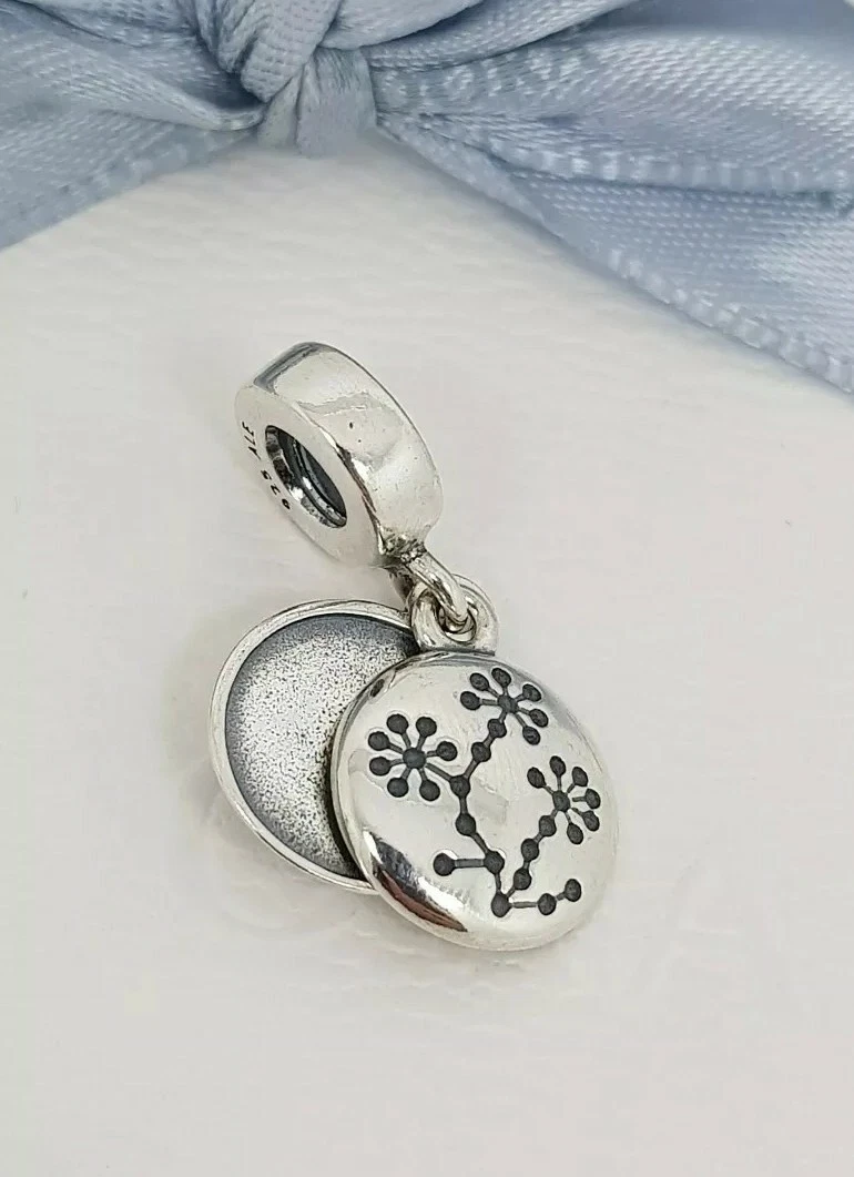 Charms shop pandora cancer