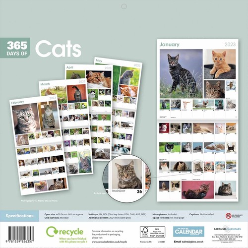 365-days-of-cats-calendar-2023-animal-month-to-view-9781529826357