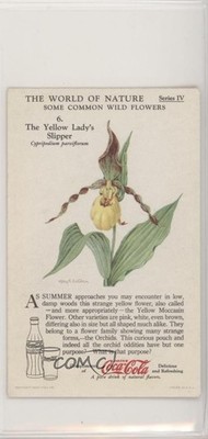 1930s Coca-Cola The World of Nature Series IV: Some Common Wild Flowers #6 z6d