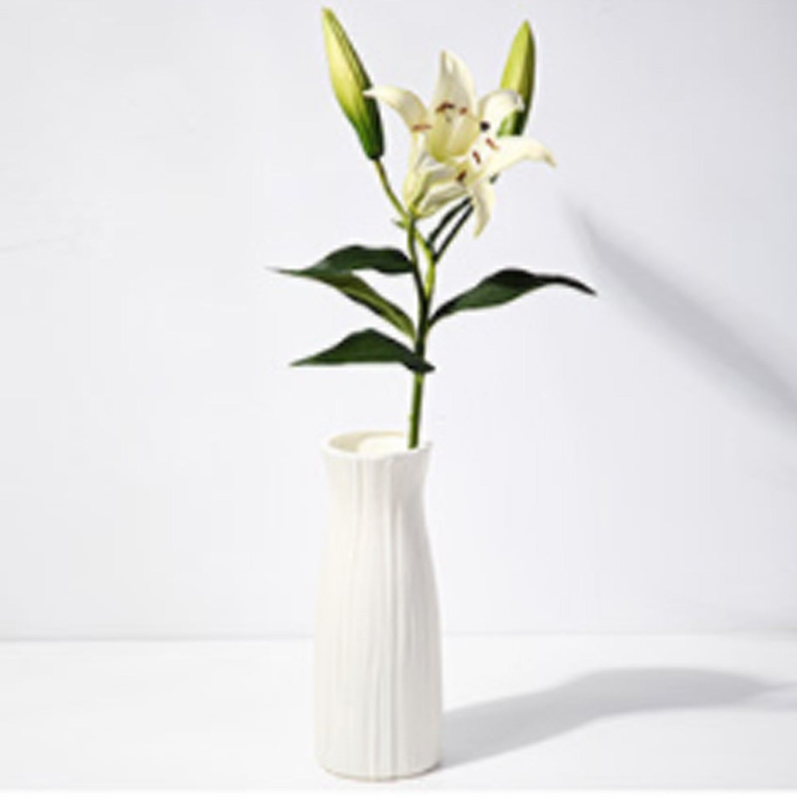 (A Type Small White)Nordic Style Unbreakable Bud Vase For Living Room