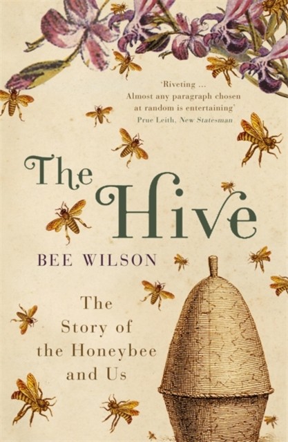 The Hive by Bee Wilson (Paperback Book)