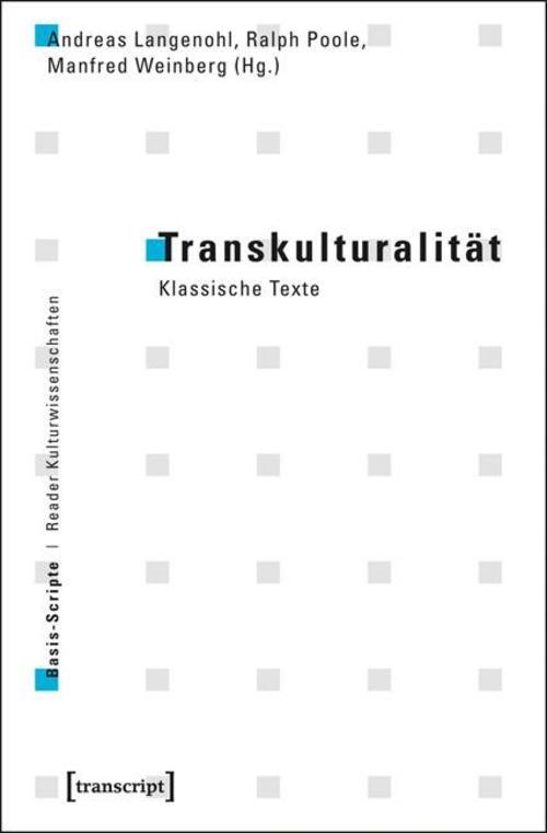 Thumbnail - Transkulturalität, Andreas Langenohl