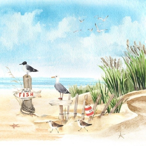 4 x Single Napkin/3-Ply/33cm/Decoupage/Coast/Seaside/Dunes/Beach/Sea Gulls