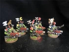 Warhammer 40K DPS painted Orks Flash Gitz SK8137