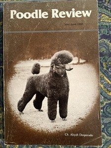 POODLE REVIEW Magazine #29 Stud Issue 1985