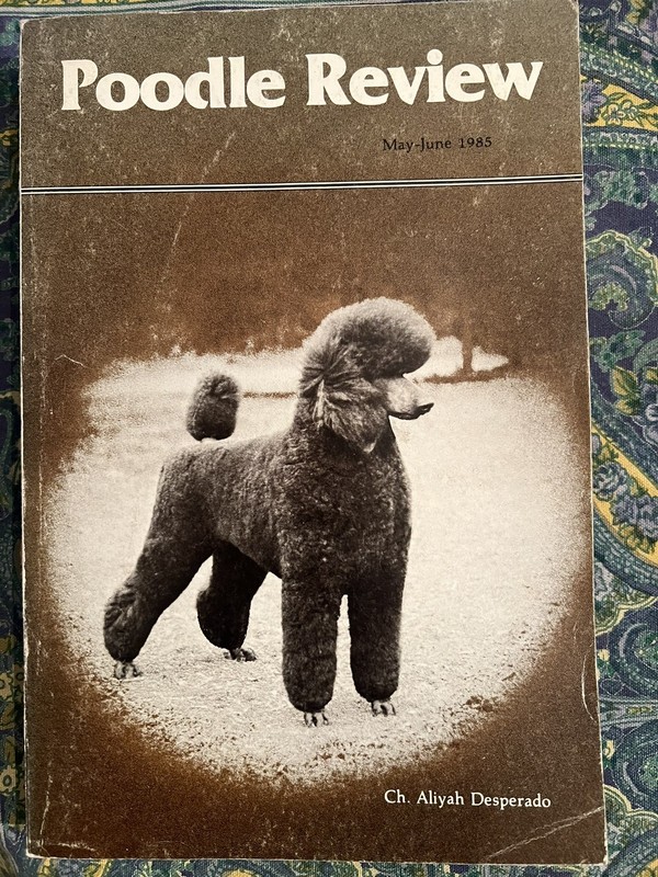 POODLE REVIEW Magazine #29 Stud Issue 1985
