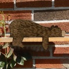 Bild 2 von 17