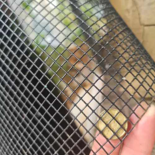 Vermin Birds Snake Mesh Black Gal Wire Mesh 990h 1220h 6x6x 1mm 5-25mRoll Mouse - Picture 2 of 26