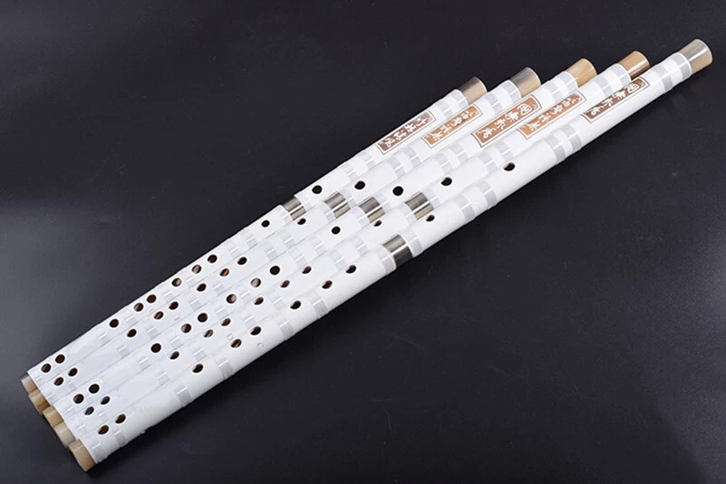 Flauta de bambú amarga profesional de 2 secciones instrumento Dizi chino Foto 2 de 4