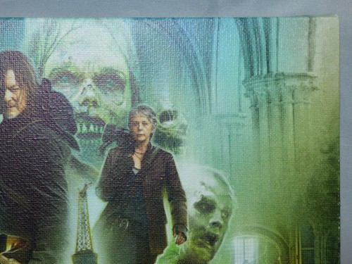 The Walking Dead - Impresión artística de colección en lienzo - Daryl Dixon - Gota de suministro excl. - Imagen 3 de 7