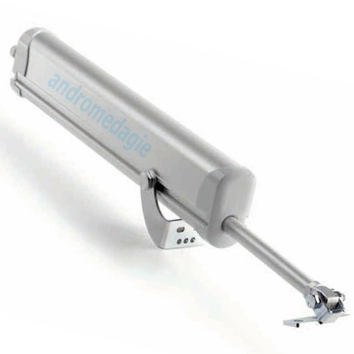 RAYWIN 600N REGULATOR 24V COURSE=300MM FRVSC6 - Imagen 5 de 7