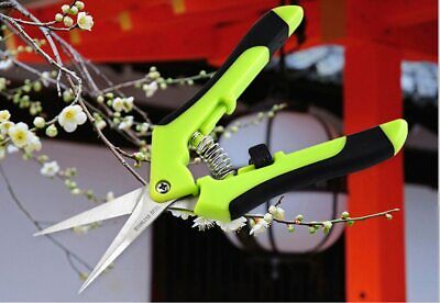 Details about STAINLESS STEEL GARDENING PRUNING SHEARS FRUIT PICKING TRIM WEED BRANCHES TOOLS Details about STAINLESS STEEL GARDENING PRUNING SHEARS FRUIT PICKING TRIM WEED BRANCHES TOOLS