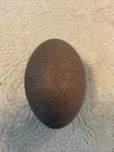New ListingMore Eggs: ( A ) Genuine Emu Egg - Decorative Blown Out Clean Shells