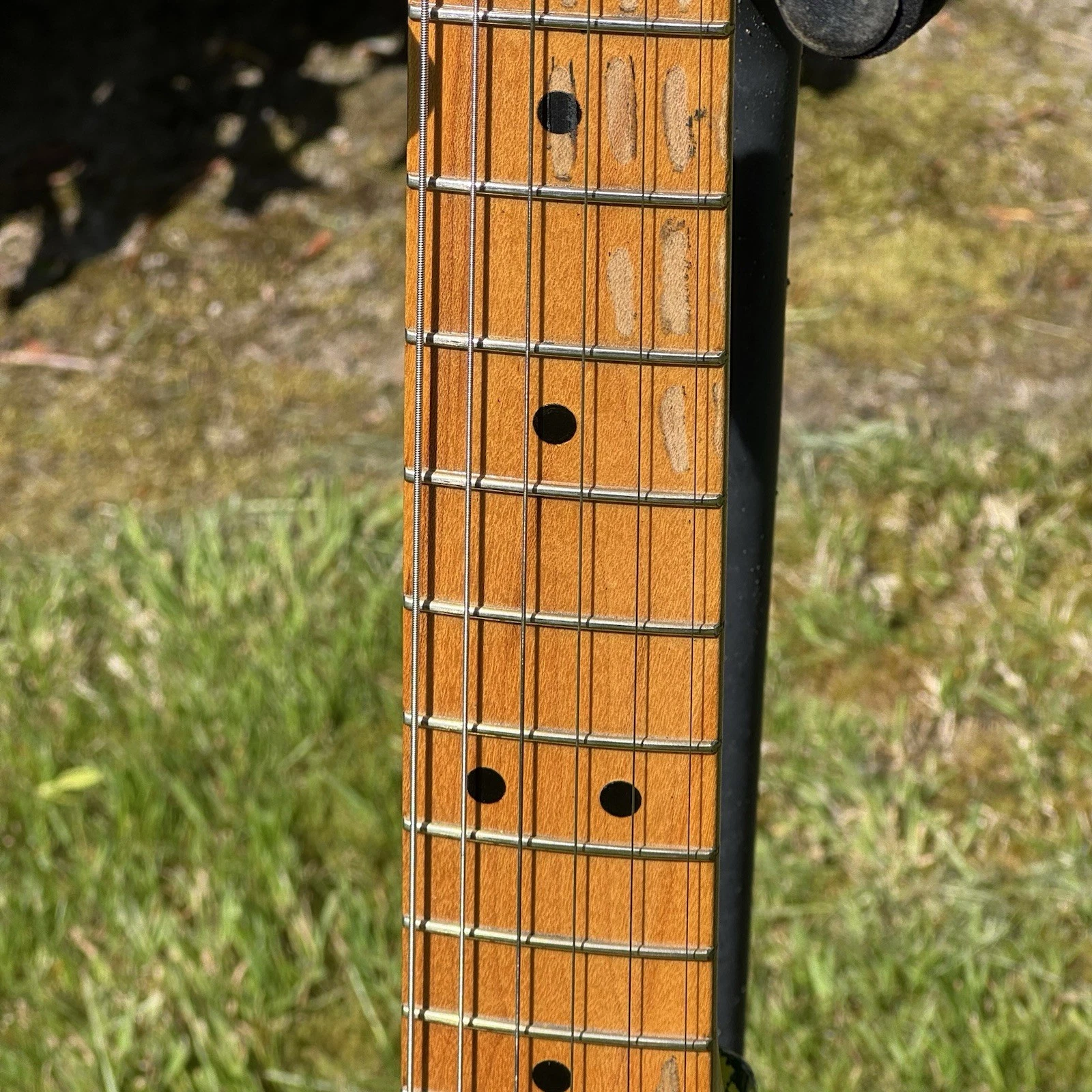 Picture 4 of 15