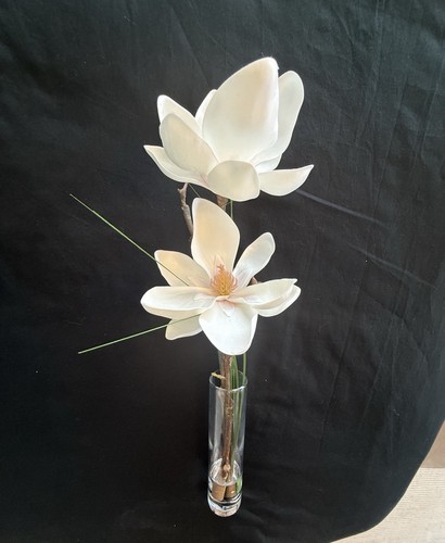 Emilio Robba Magnolia In Slim Vase - Picture 3 of 5