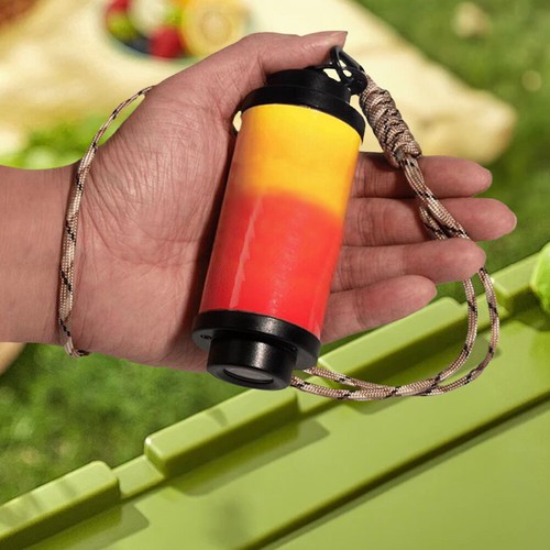 Hanging Anti-Lost Key Cord Reusable Cell Phone Holder Rope for Business Trip - Photo 5 sur 18