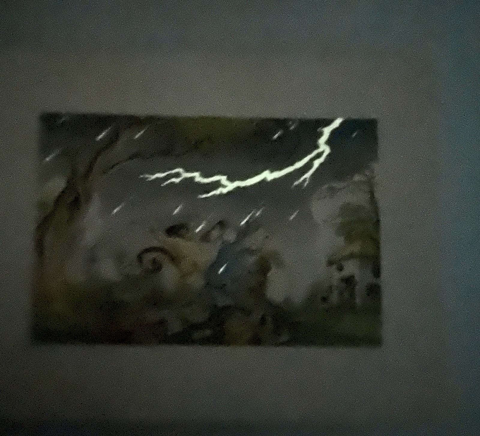 Picture 7 of 19