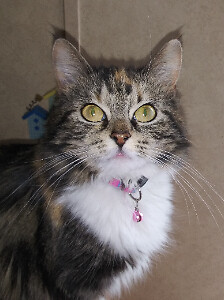 Zenzetta767 | eBay Stores