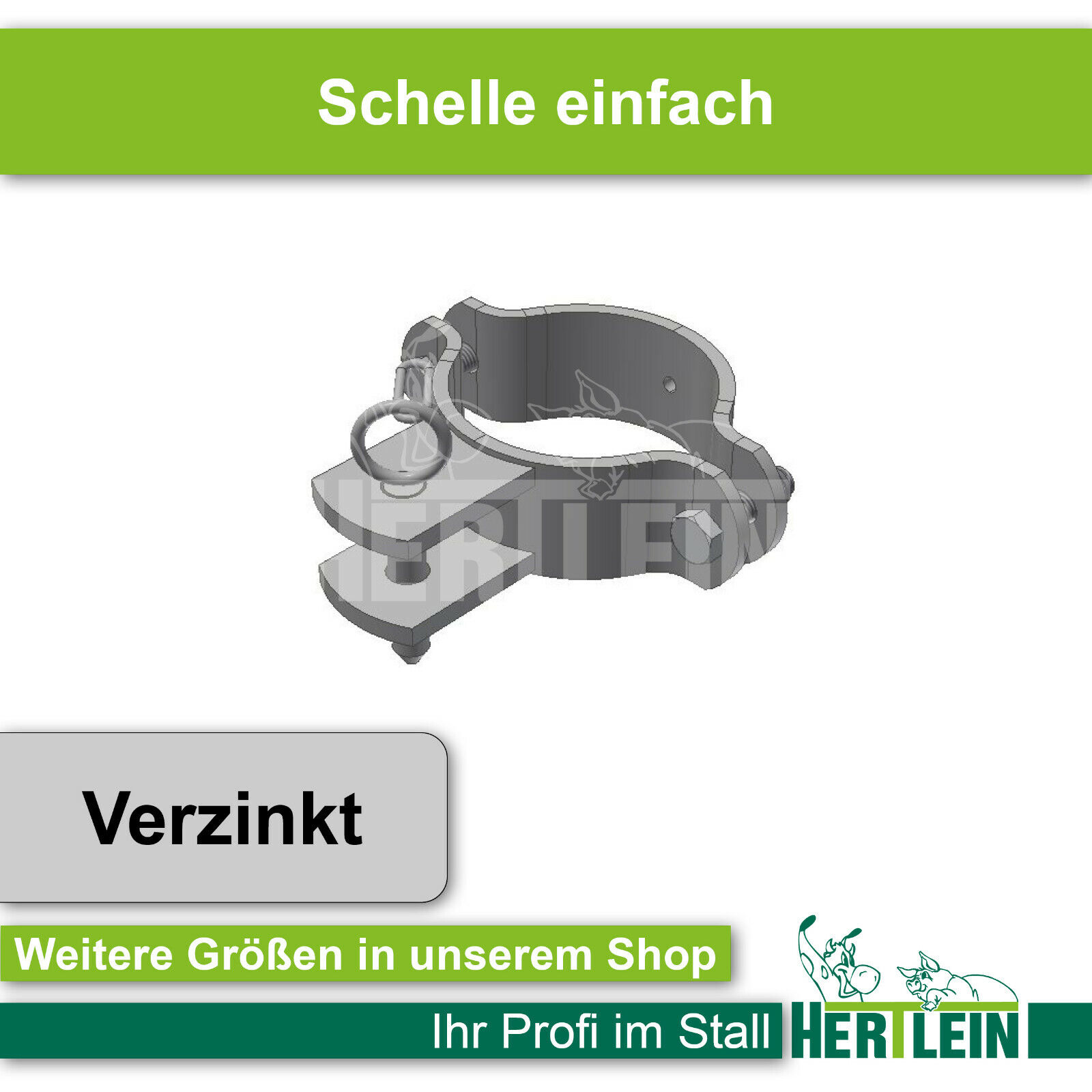 Bild 2 von 8