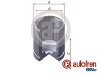 Autofren Seinsa D025608 Kolben, Bremssattel Hinterachse FÜR Aprilia Motorcycles