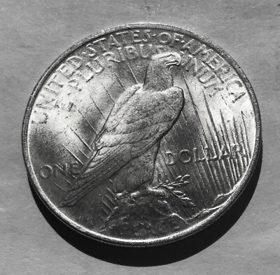 1923 P PEACE DOLLAR #231 BU MS UNCIRCULATED / SEE PICS !! | eBay
