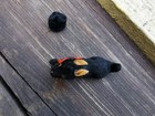 Bild 7 von 19