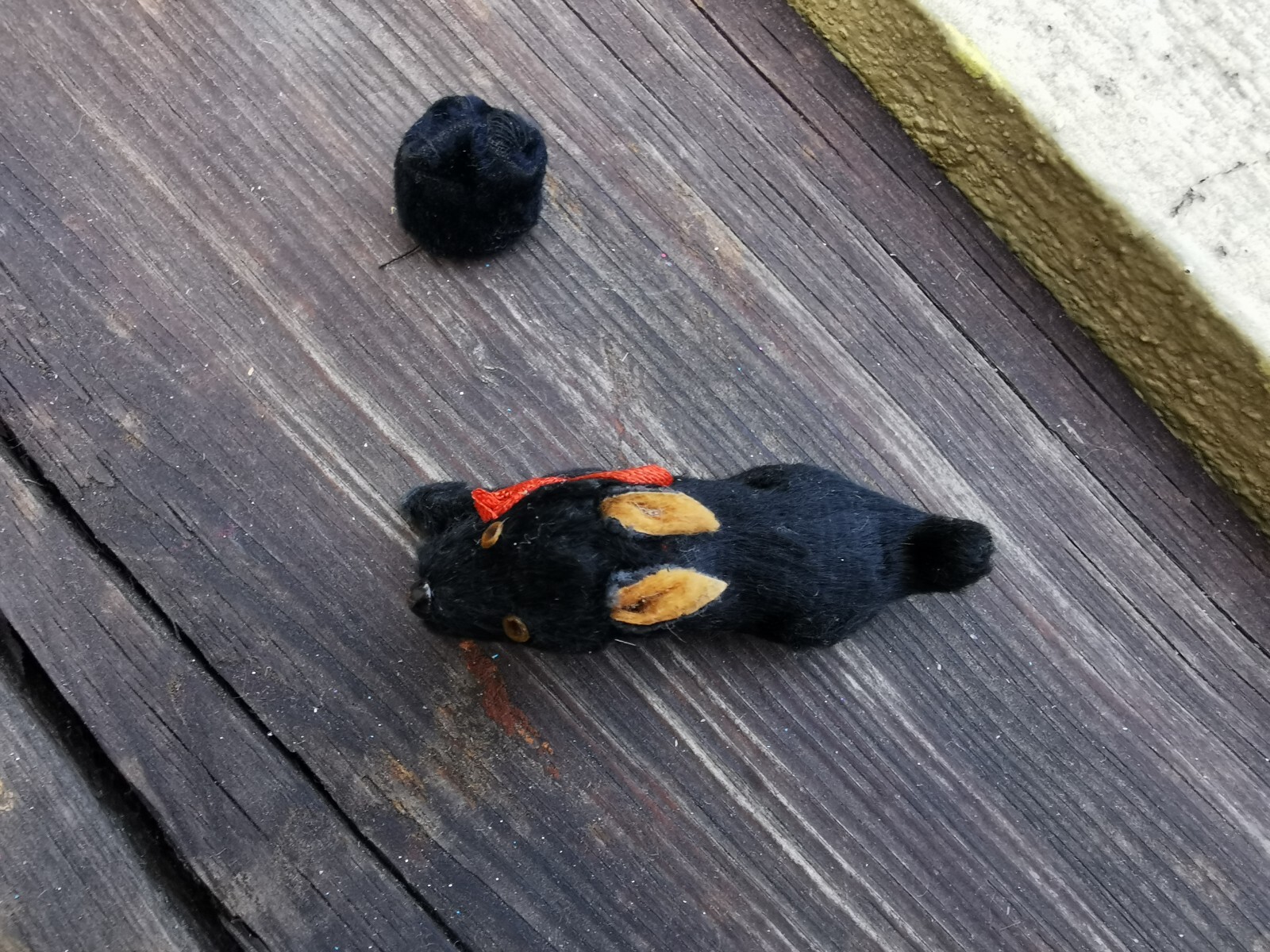 Bild 7 von 19