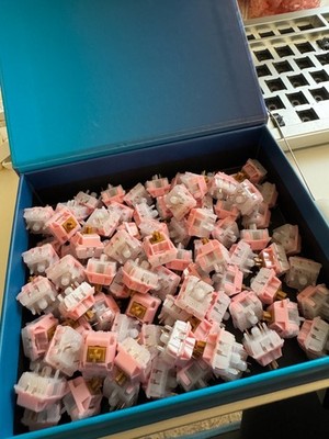 neapolitan tactile keyboard switches
