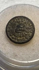 True Whigs Political Button