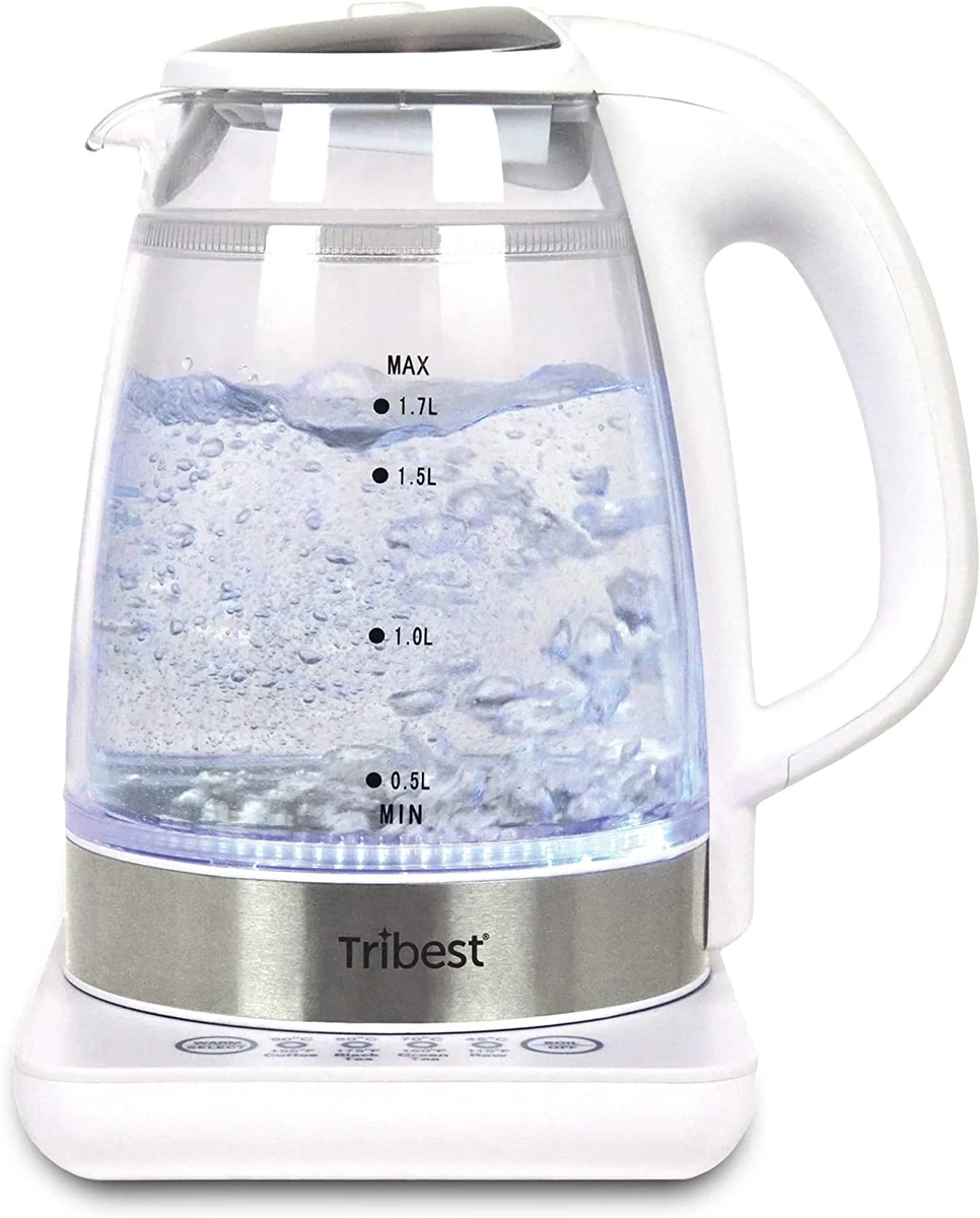 Small glass 2024 electric tea kettle