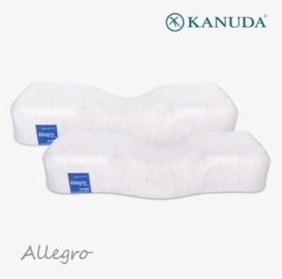 Kanuda Blue Label Allegro Set of 2 / Memory Foam cervical