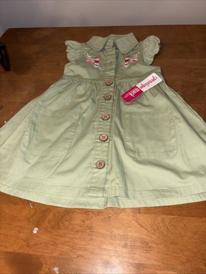 penelope mack girls dress 2T Sleeveless Embroidered NWT Light Green