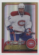 2008-09 O-Pee-Chee Rainbow Foil Metal Roman Hamrlik #47 y0t