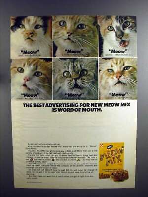 Meow Advertising