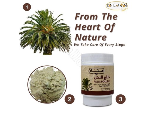 Imtenan Dattelpalmen Pollen 100% Bio Rein Natürlich 1,1Oz امتنان طلع النخل طبيعى - Bild 4 von 8