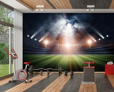 3D Stadium Gym ZHUA7343 Wallpaper Wall Murals...