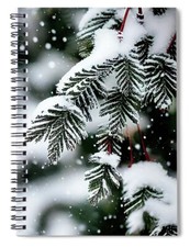 Winter Day Spiral Notebook Blank Notebook Lined Journal 8 X 6 Notebook