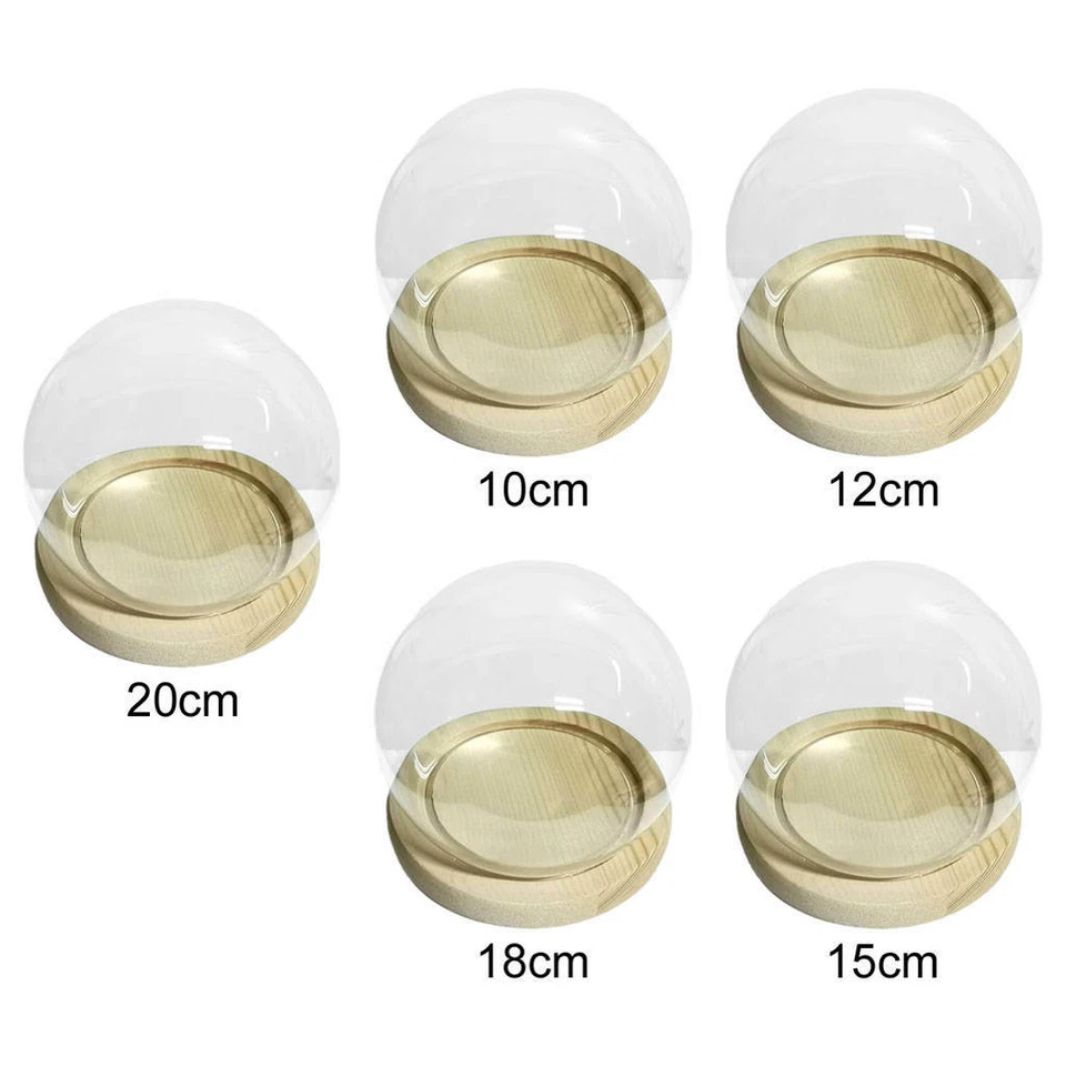 Vetrina per terrario a cupola in vetro trasparente con base in legno Mini - Immagine 2 di 2