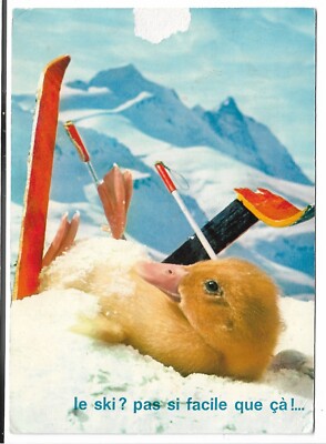 AK Skifahren ? nicht so einfach! Marotte Berg Schnee Sport Loisi