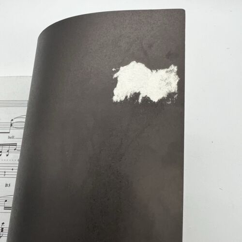 BLACK CROWES - SOUTHERN HARMONY & MUSICAL COMPANION - GUITAR TAB BOOK TABLATURE - Picture 10 of 10